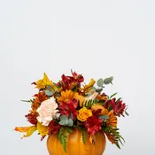 Our Holiday Collection: The Autumn