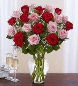 2 Dozen Pink & Red Rose Vase