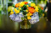 HYDRANGEA ABUNDANCE