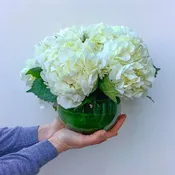 Simply Hydrangea