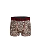 BOXER COURT FELINI