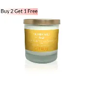 Citrus Soy Wax Candle 11 oz