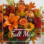 Designer's Choice Fall Mix