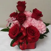 Red and Pink Dazzle WF503-m
