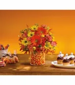 CANDY CORNIE BB176-3A