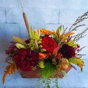 Harvest Celebration