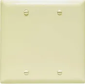 2 Blank Wall Plate 2 Gang Ivy