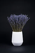 French dried lavender — Casey's Flower Studio