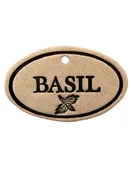 Basil