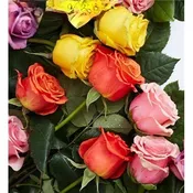 One Of A Kind | Rose Bouquet - Lilac Flower Shop