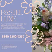 Pastel Designer's Choice