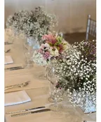 A BREDTH OF BABY'S BREATH