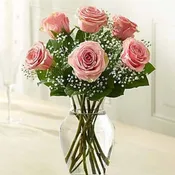 6 Stems Pink Love's Embrace Roses
