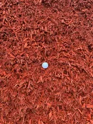 Red Mulch