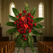 Red Sympathy Spray