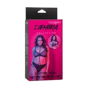 Euphoria Collection Chain Halter/Collar & Leash