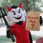 Mystery Grab Bag
