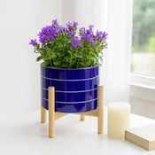 Blue Ceramic Striped, 8 in. Planter On Wood Stand