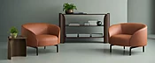 Arcular Lounge Chair