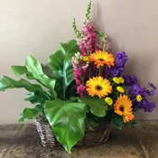 Garden arrangement