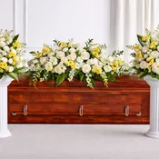 Golden Grace Bundle