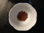 Korean Roasted Barley Tea
