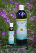 Massage Oil Ayurvedic