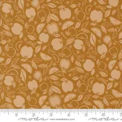 38143 14 Rainier                 Caramel
