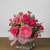 Passionate Pink