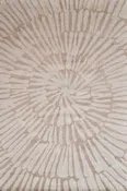Ammonite Natural