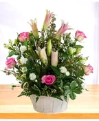 ADORATION: PINK AND WHITE