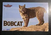 Bobcat Flipworks Book — Lassen Association | Peak Your Curiosity