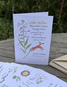 Plant Notecards — Western Hills Garden