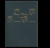 Mainly Mental Volume 2 Book Tests