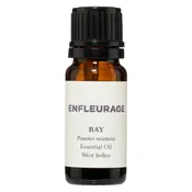 Bay Essential Oil, Barbados