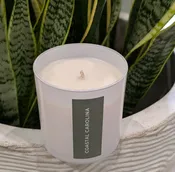 Scented Candle: Coastal Carolina — Fishtown's Premier Custom Florist | Myrtle & Magnolia