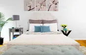 Transfer Master Supernal Hi-Low Hospital Bed | Wall Hugger, Massage & European Head Tilt