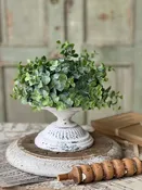6" Cream Atessa Pedestal