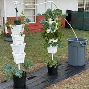 2-Tower Self-Watering Vertical Garden