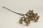 33″ Natural Aralia Stem