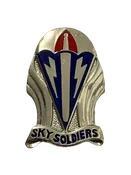173rd Army Airborne Brigade DUI Crest Nip Sky Soldiers Pin