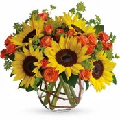 Sunflower and spray rose bowl