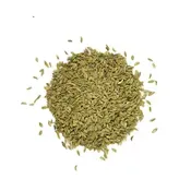 Fennel Seed - Organic