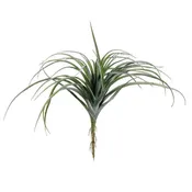 11" Tillandsia GR/GY