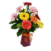 Daisy Sensation (Large) Vase may vary