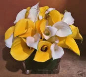 Giallo di Bianco