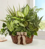 Garden Love Planter