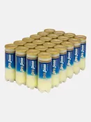 PRO PENN MARATHON+ TENNIS BALLS EXTRA DUTY 24-CAN CASE