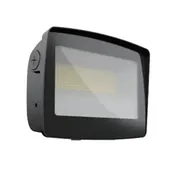TitanBeam Series LED Flood Light