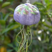 Jelly Fish Air Plant Hangers